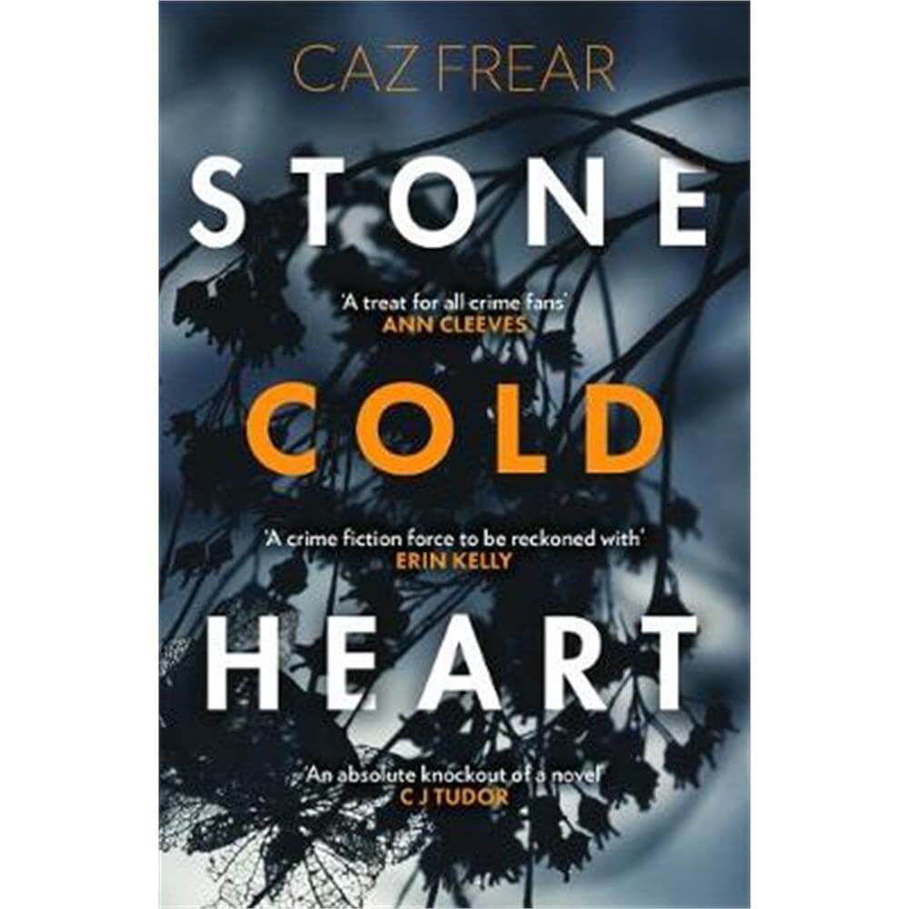 Stone Cold Heart (Paperback) - Caz Frear